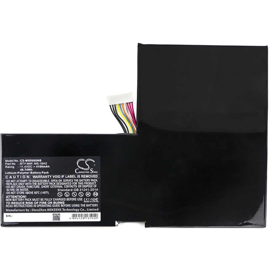 MSI GS60 2QC-022XCN