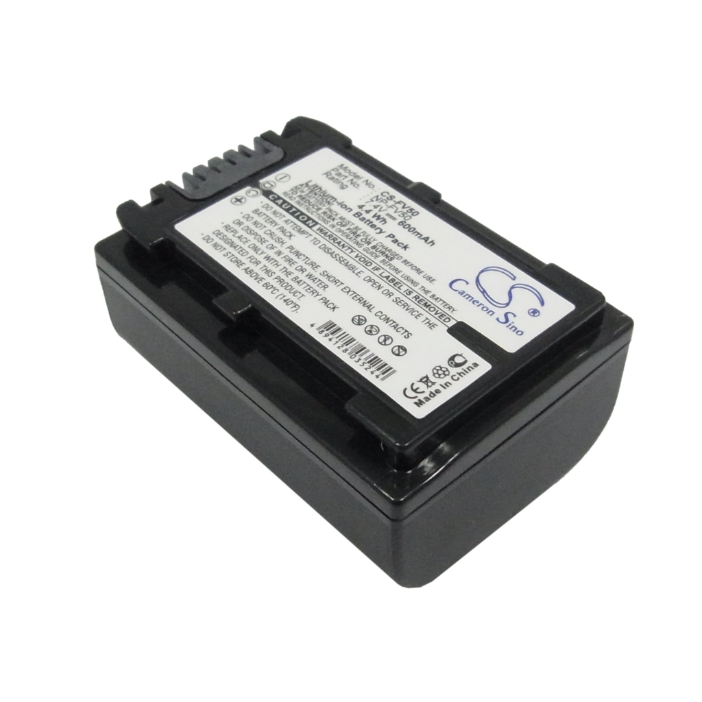 Sony HDR-PJ710V