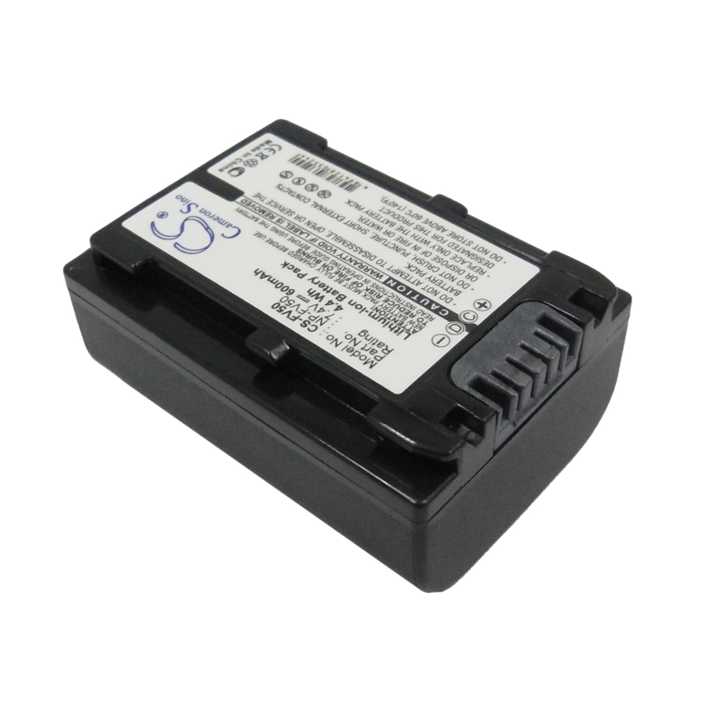 Sony HDR-PJ710V