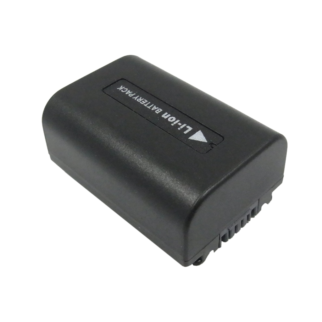 Sony HDR-PJ710V