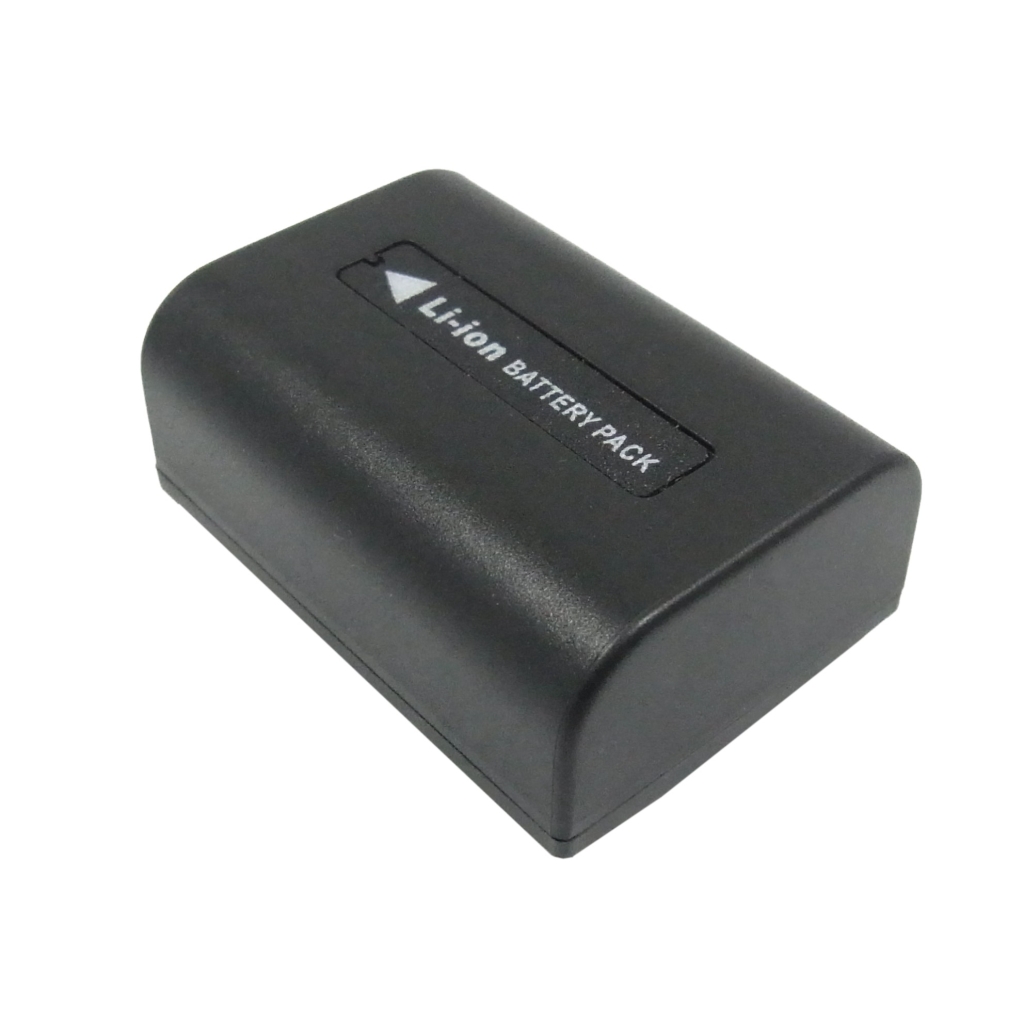 Sony HDR-PJ710V