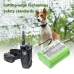 Dogtra 2000B Transmitter